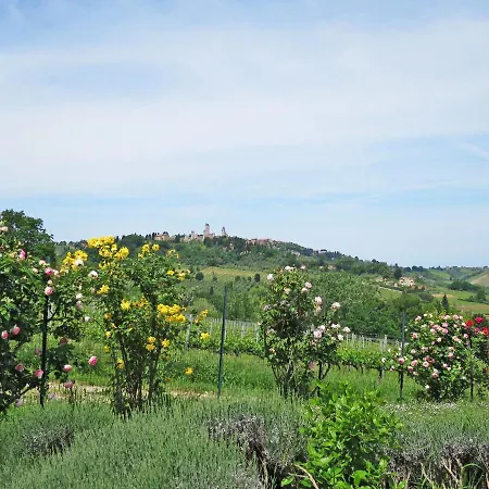 Villa Le Fonti Di Santa Lucia By Interhome Poderi Foci